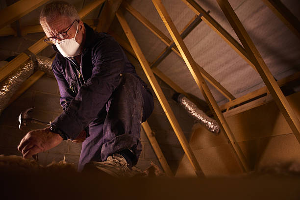 Best Insulation Installation Services in New Albany, OH